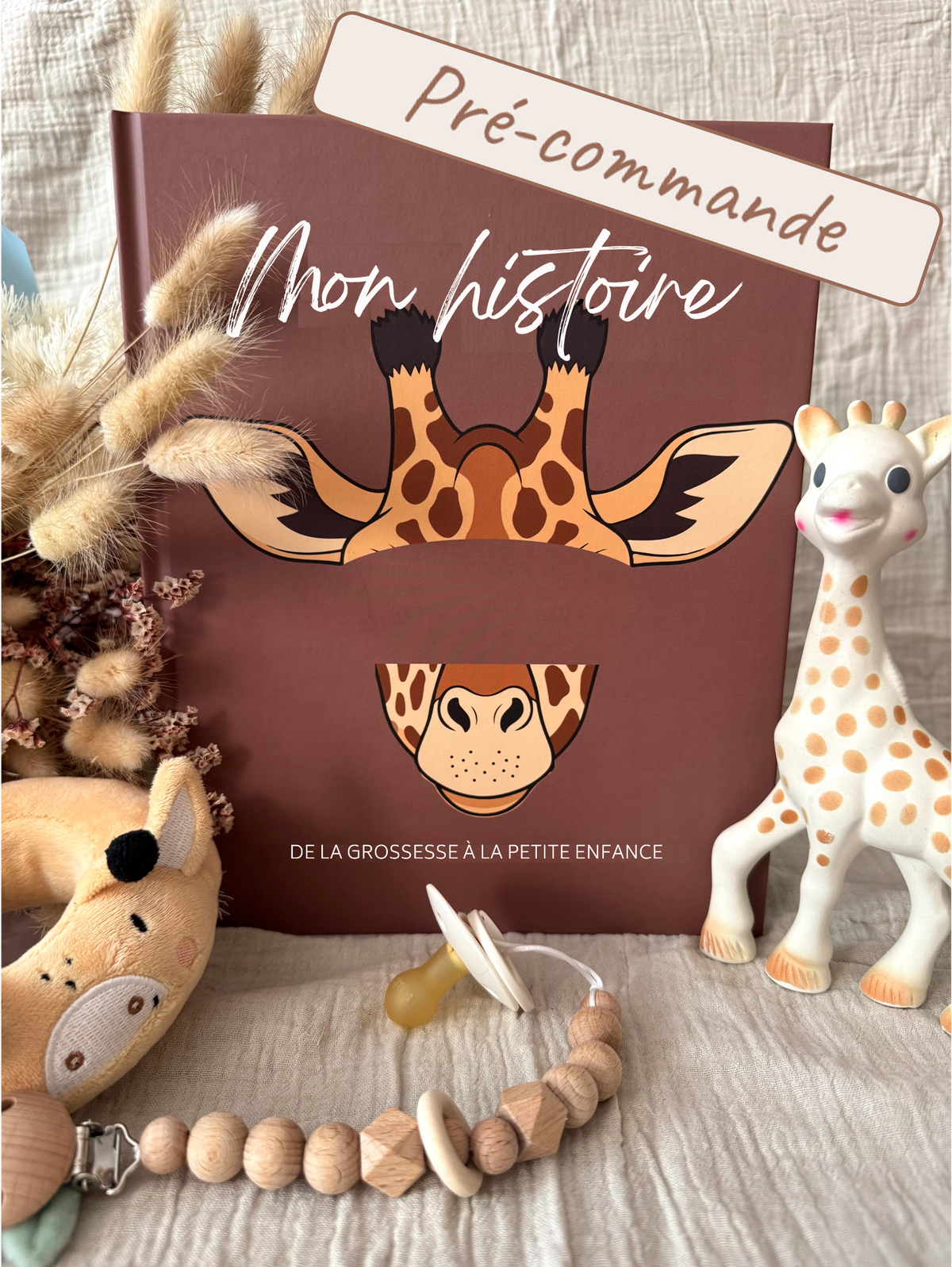 My story - Giraffe